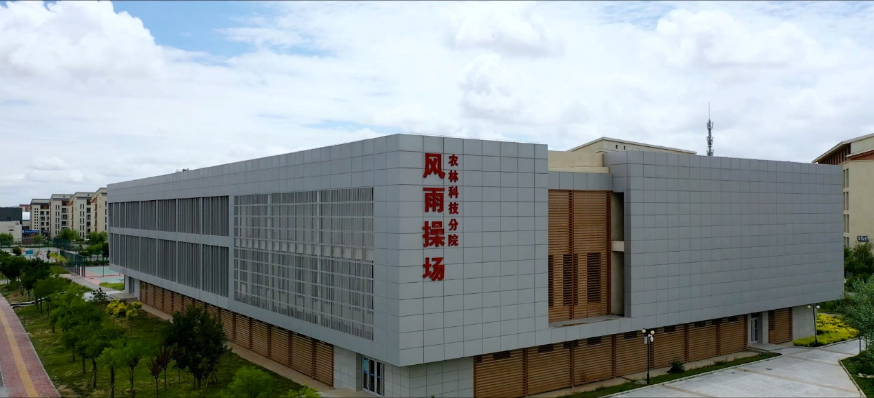 图片8.png