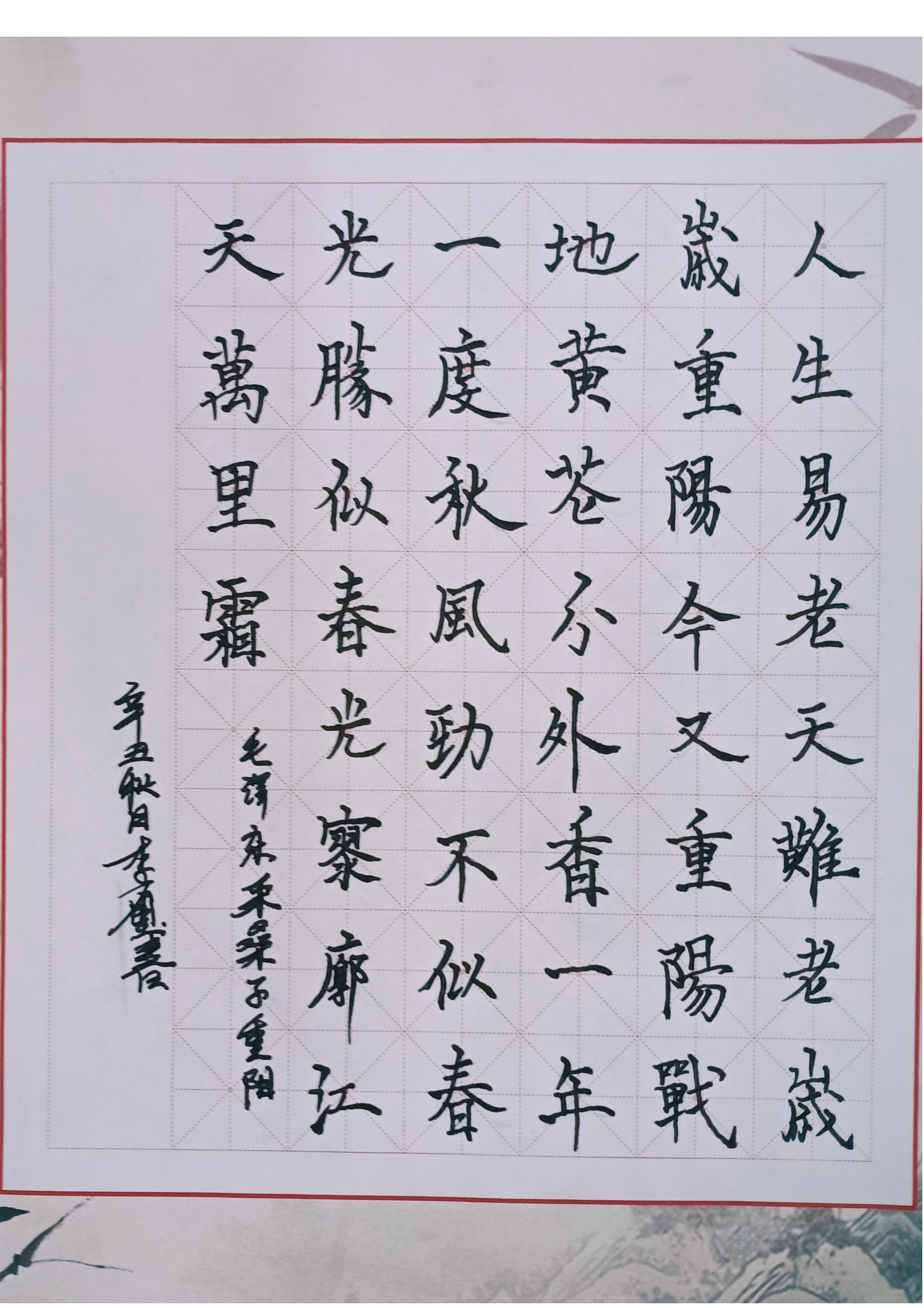 图片6.png